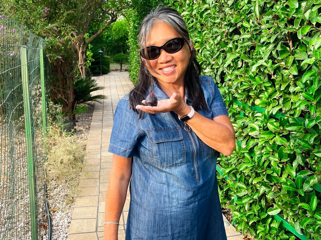 B&B Villa Valentina Taormina主图