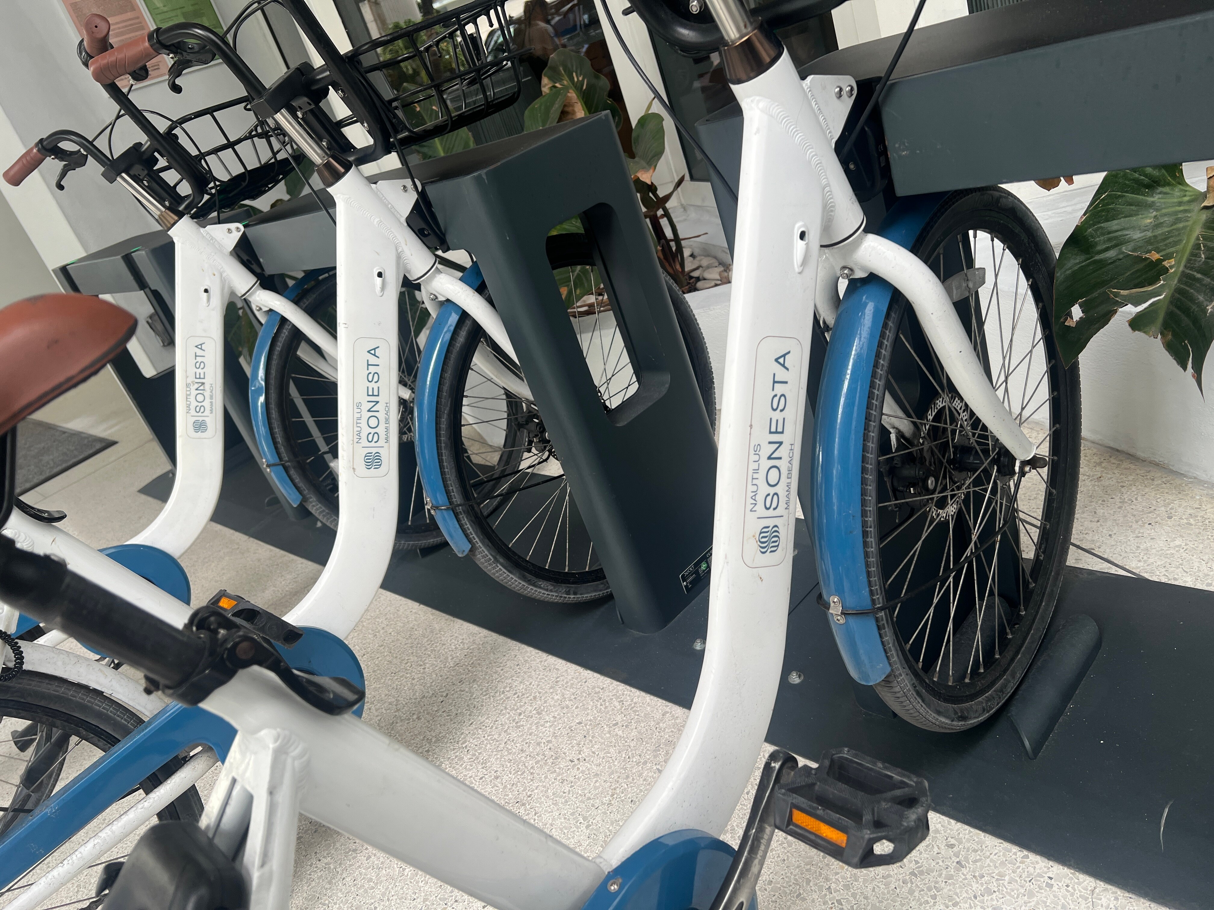 鹦鹉螺六十酒店-泳池