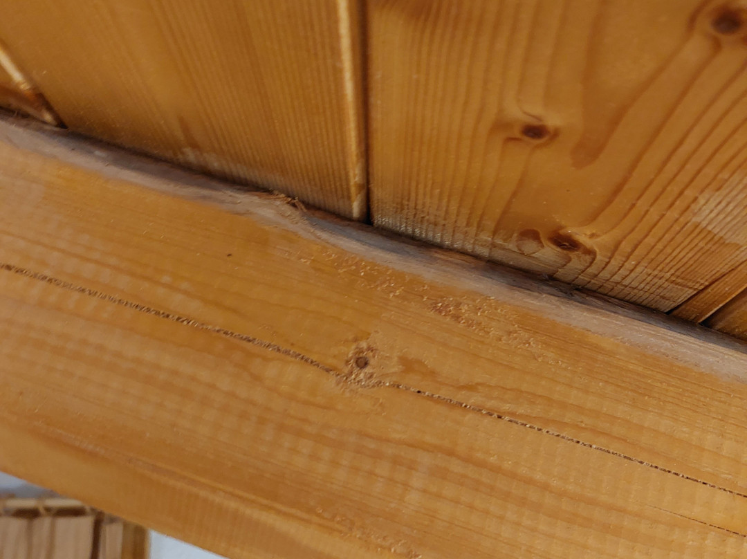 Hotel Orfeas Delphi主图