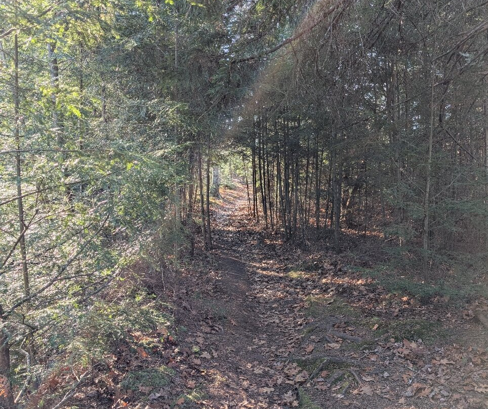 Brunet Island State Park-Cornell必去景点