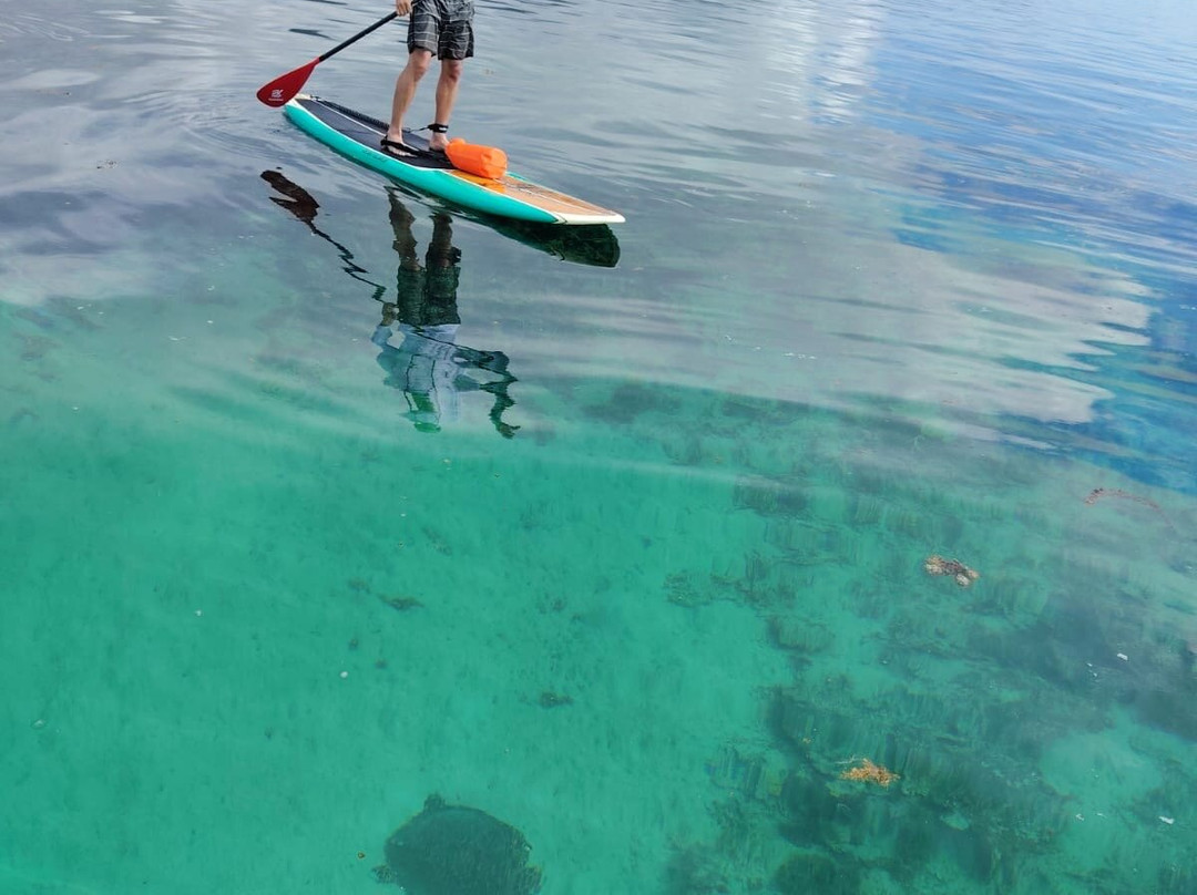 Dodo Gliders-毛里求斯必去景点