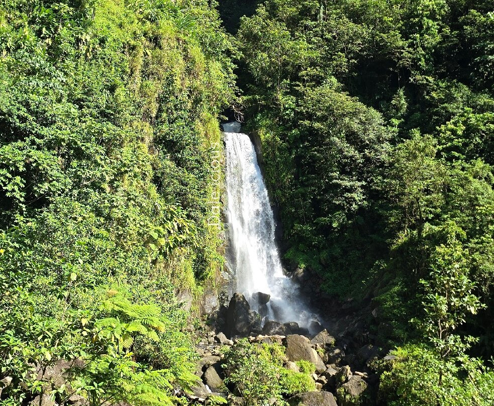 Trafalgar Falls-Morne Trois Pitons National Park必去景点