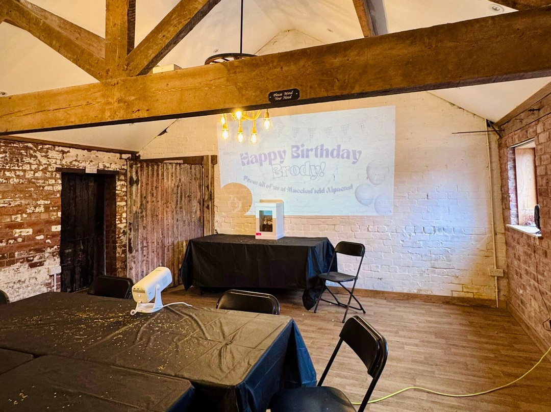 Macclesfield Alpacas-麦克尔斯菲尔德必去景点