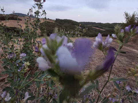 卡萨莱瑞佛里乡村民宿主图