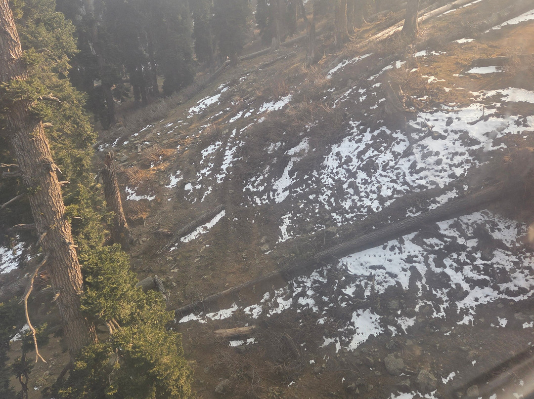 BOUT INDIA TOURS-斋蒲尔必去景点