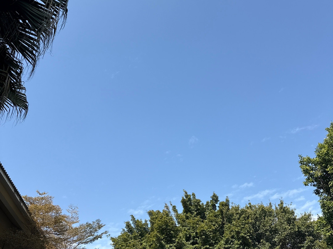 福建鲤鱼洲酒店主图