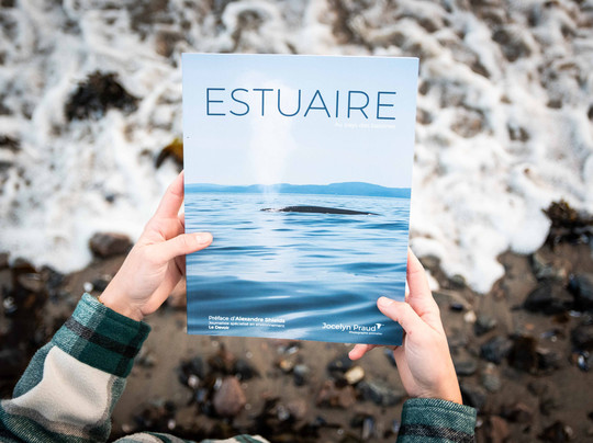 Souvenirs du large - Boutique souvenir et Galerie d'art-Les Bergeronnes必去景点