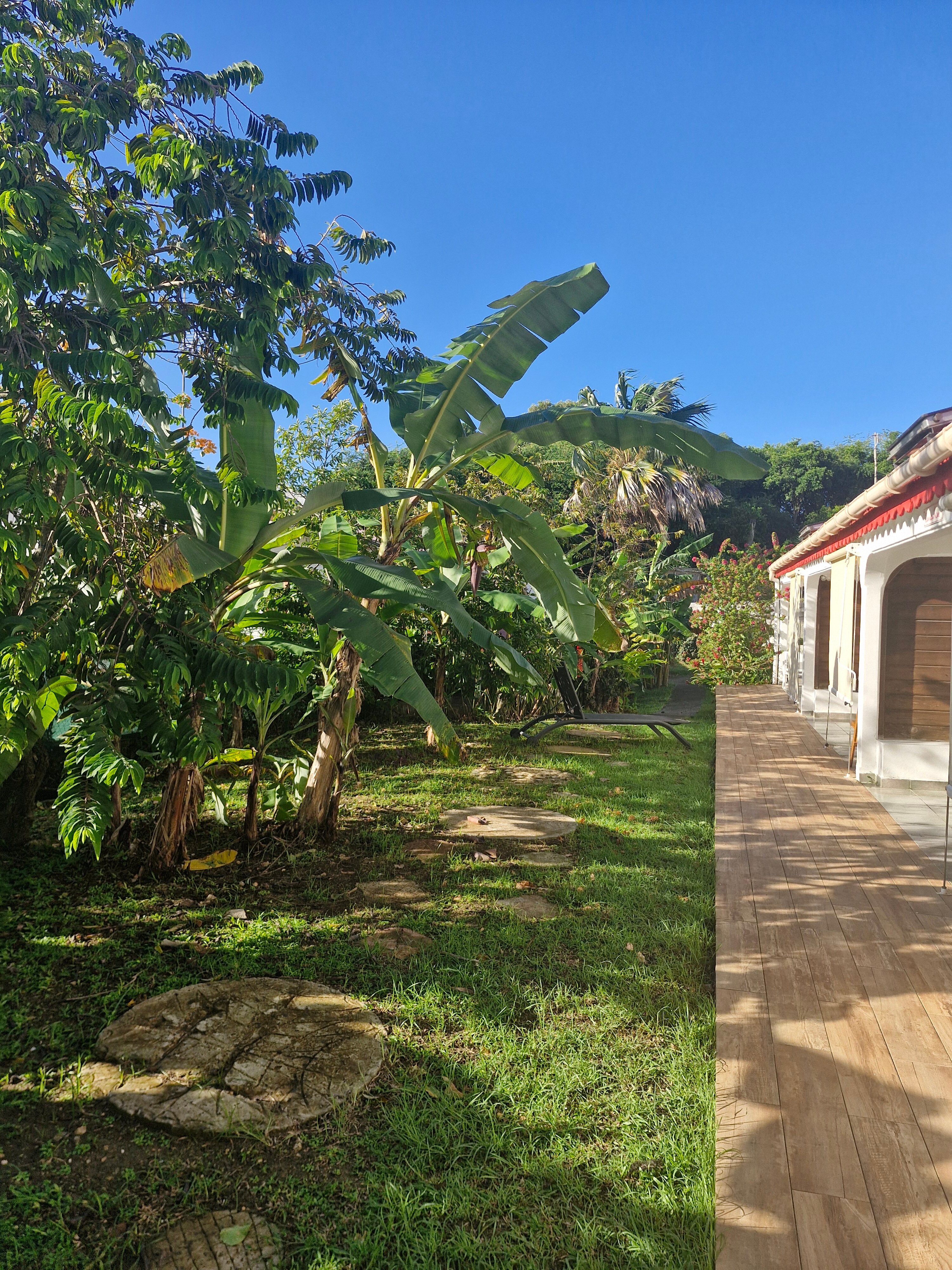 La Berceuse Creole-官方