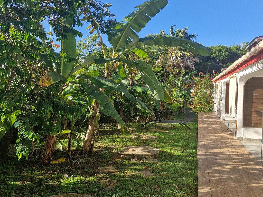 La Berceuse Creole主图