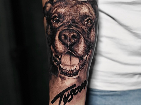 Inknation Studio-纽约市必去景点