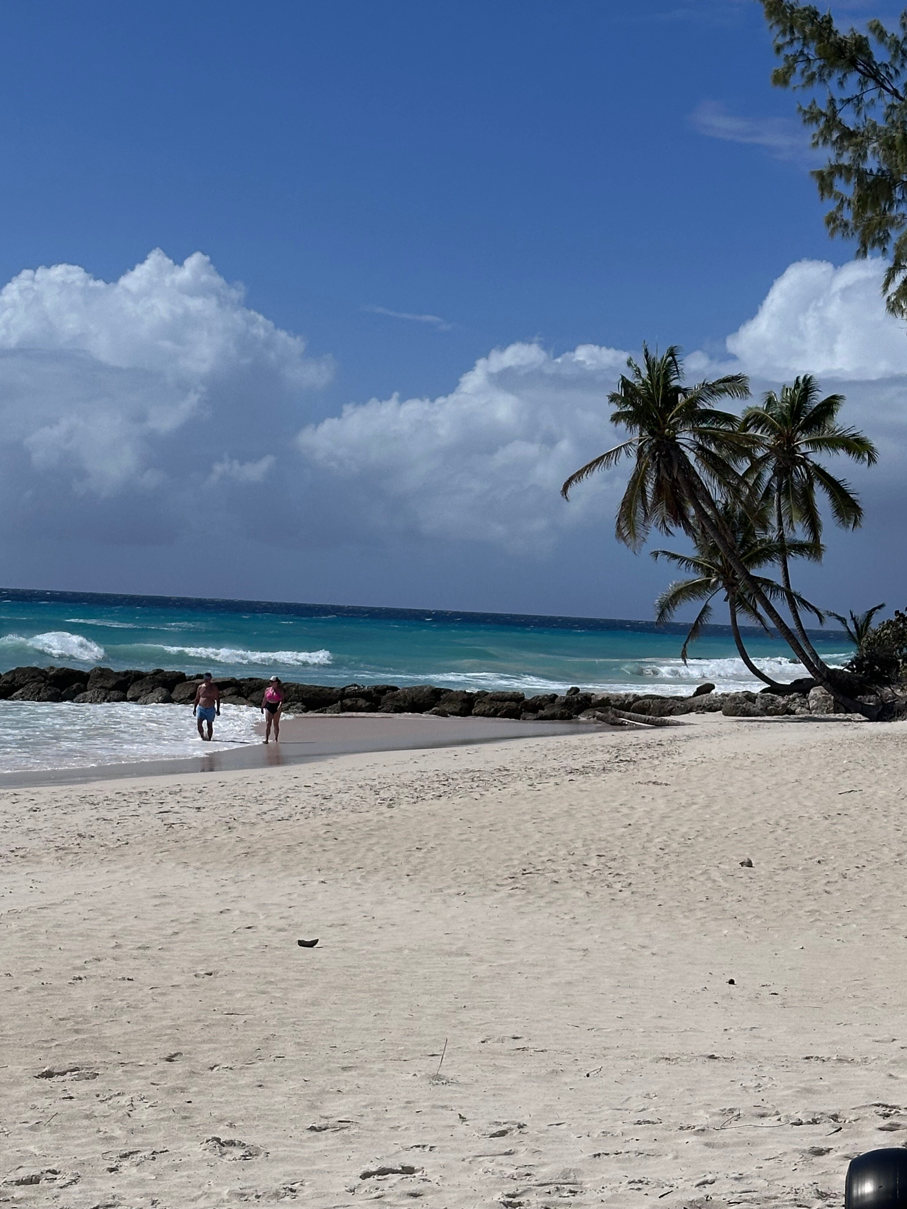 Sandals Barbados-泳池