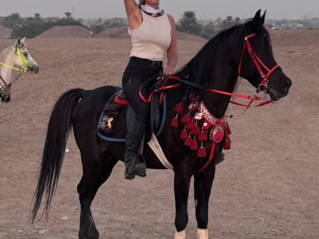 Ride Egypt-赫尔格达必去景点