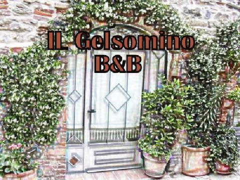 IL Gelsomino B&B主图