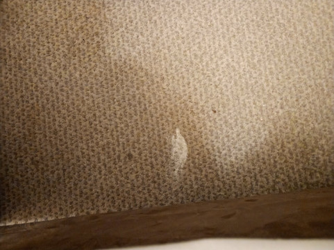 The Tor Park Hotel主图