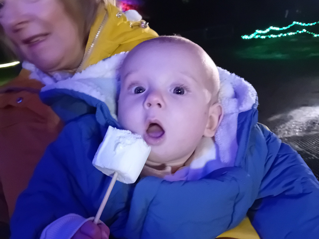 Brands Hatch-West Kingsdown必去景点