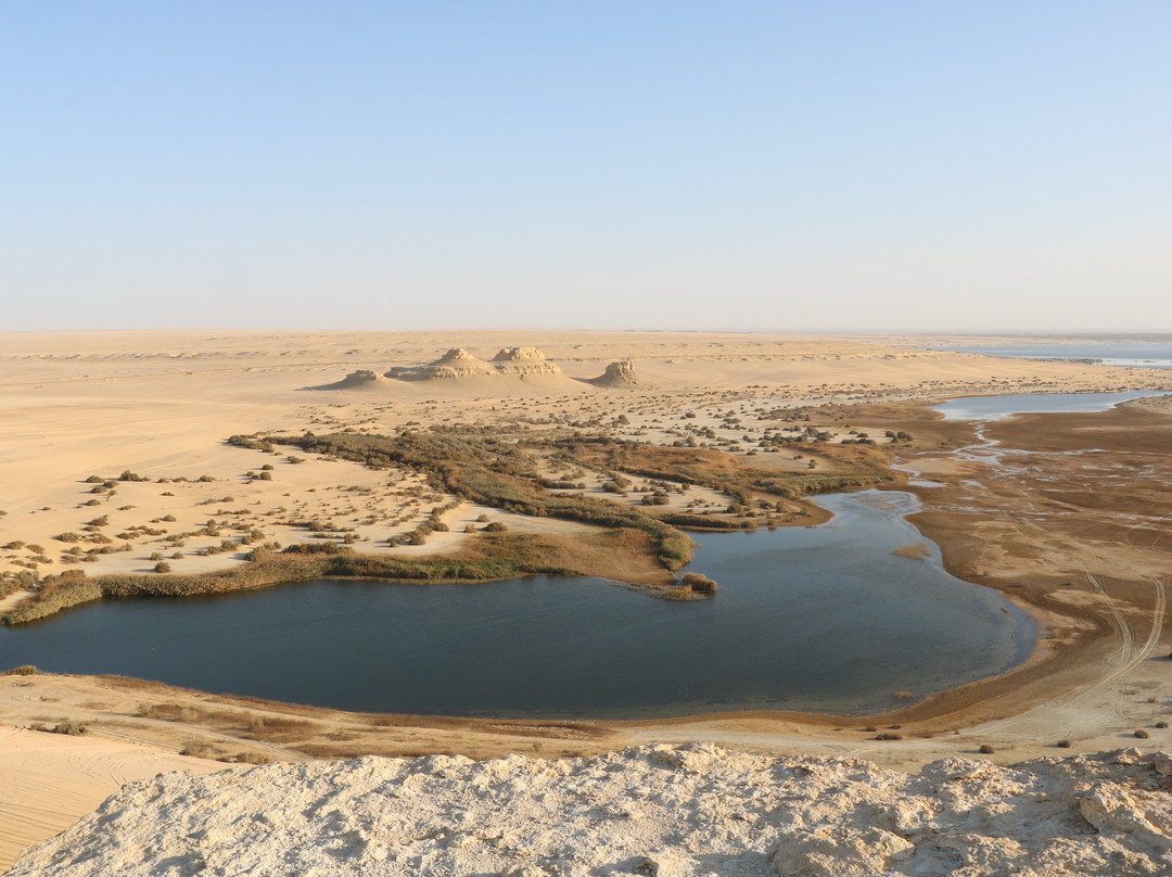 La Toupie Voyageuse-里昂必去景点