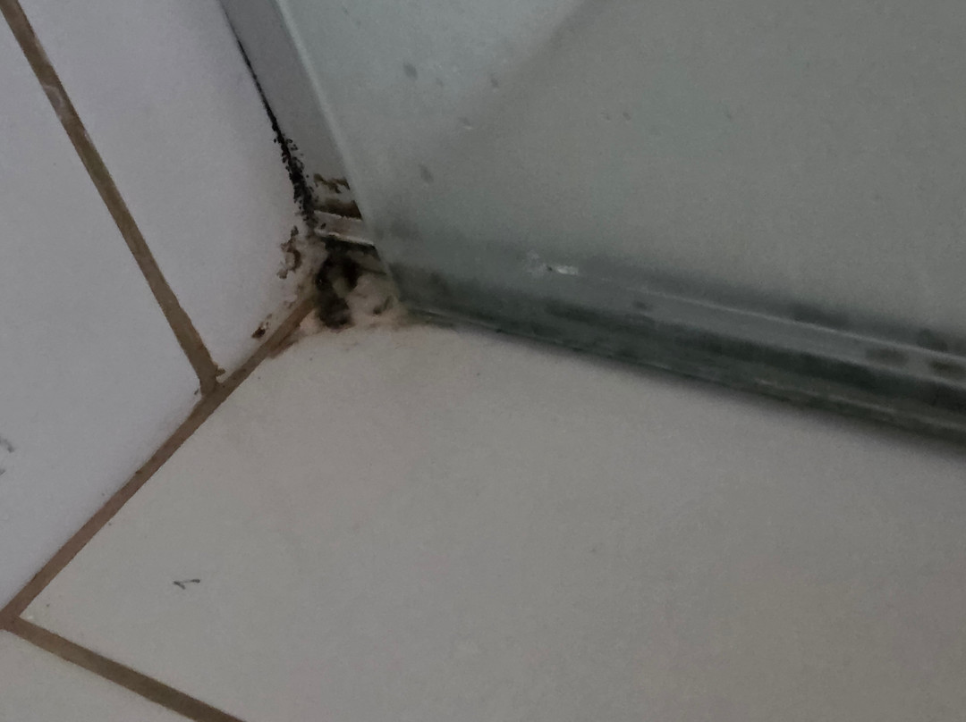 Hotel Fazenda Poços de Caldas主图