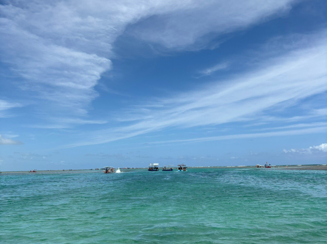 Piscinas Naturais-Sao Miguel dos Milagres必去景点