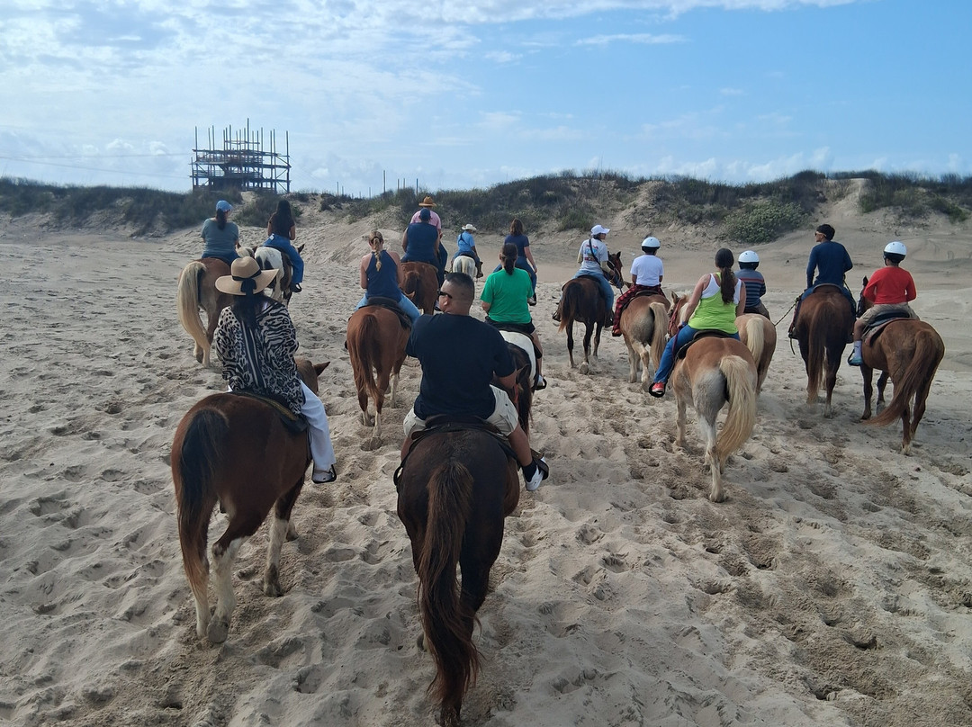 South Padre Island Adventure Park-南帕诸岛必去景点