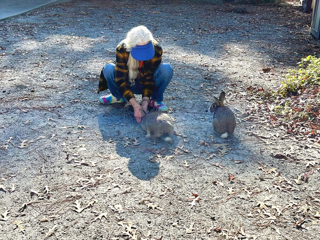Blythe Island Regional Park-不伦瑞克必去景点