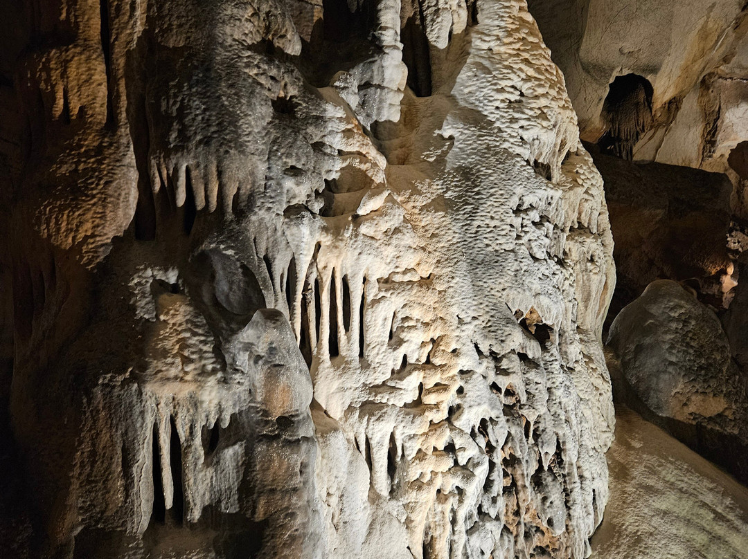 Melrose Caverns-哈里森堡必去景点