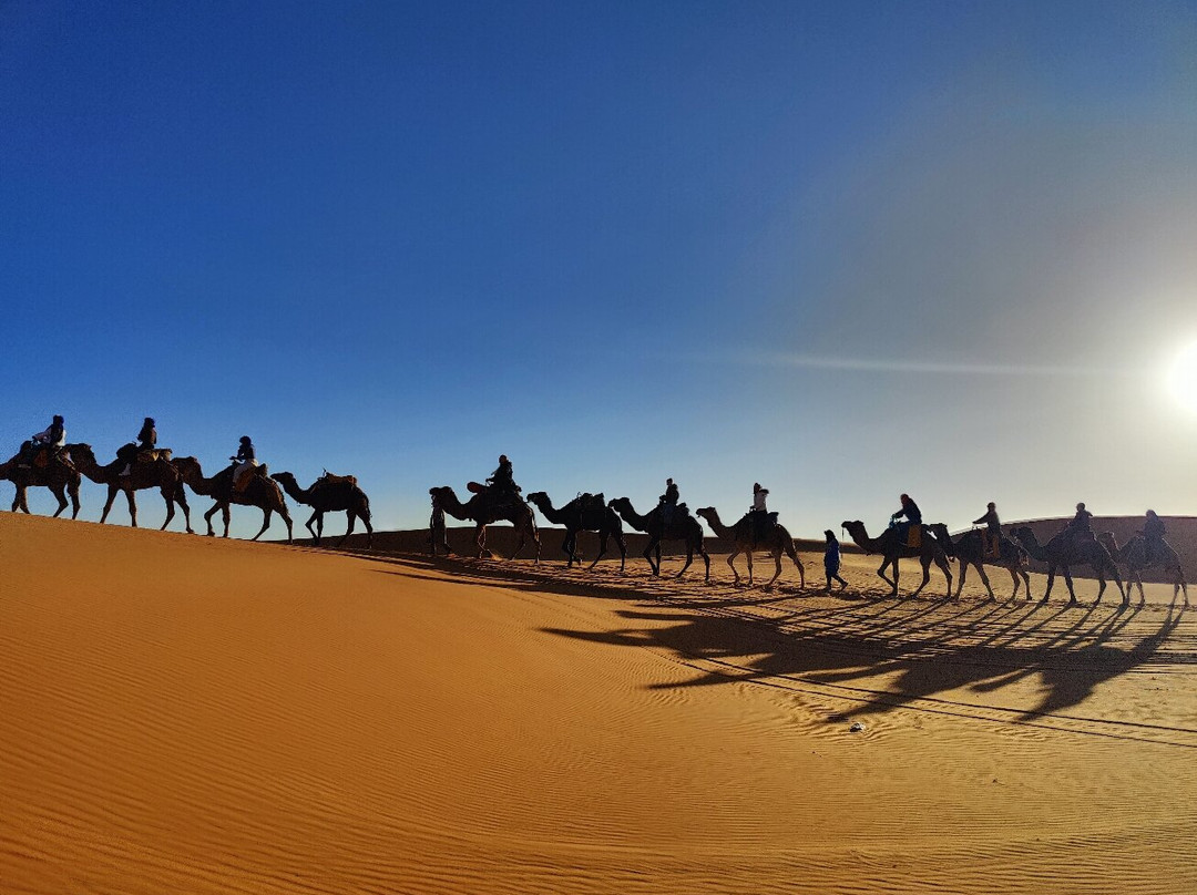 Trips Around Morocco-马拉喀什必去景点