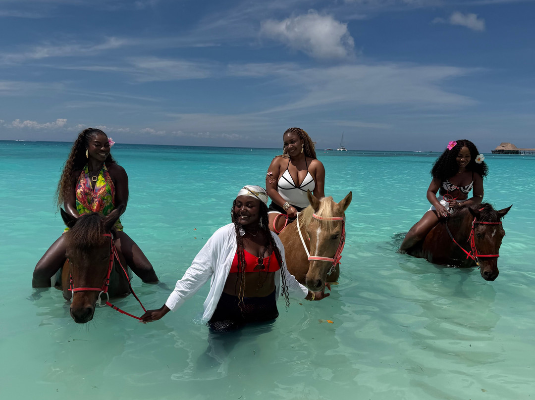 Kolekole Zanzibar Tour And Safaris