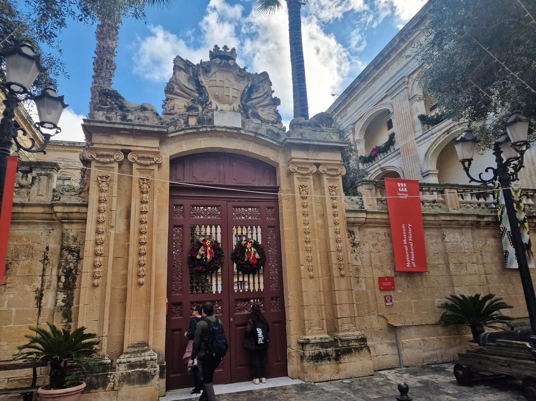 National Museum of Natural History-姆迪纳必去景点