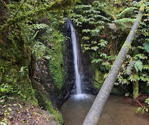 Hakarimata Walkway-Ngaruawahia必去景点