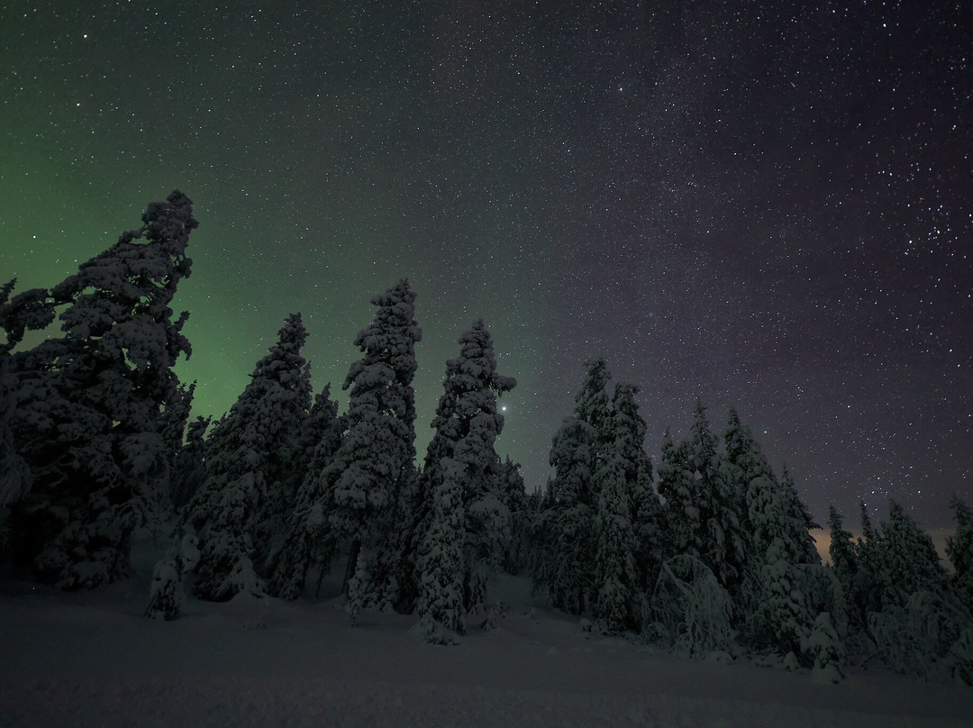 Nivunki Village-Muonio必去景点
