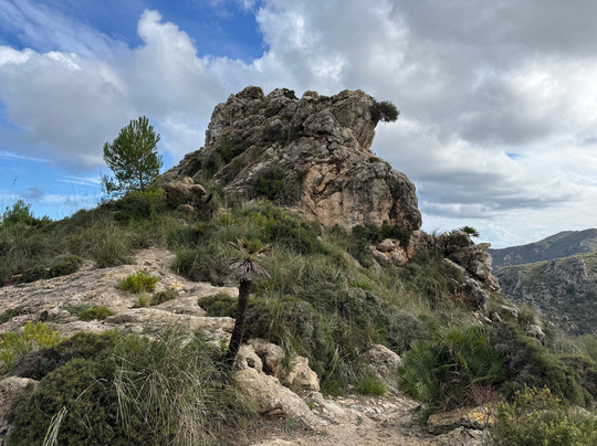 Parc Natural de la Península de Llevant-Arta必去景点