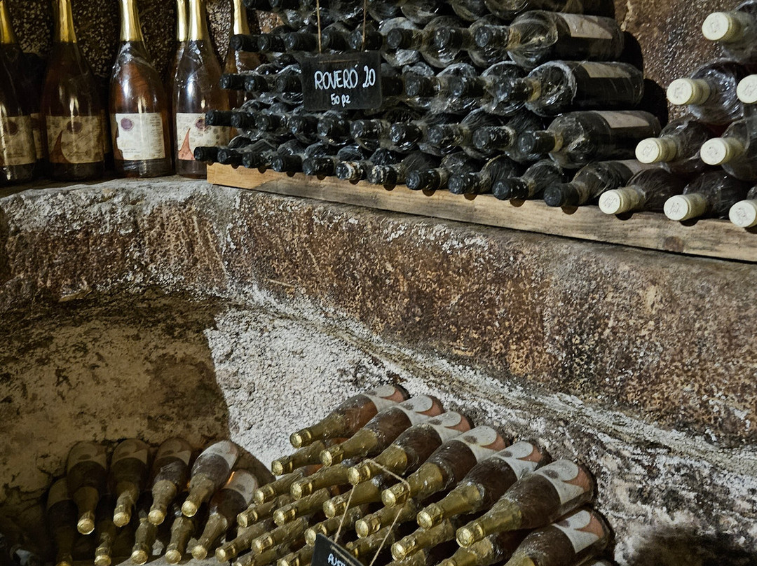 Cinque Quinti-Cella Monte必去景点