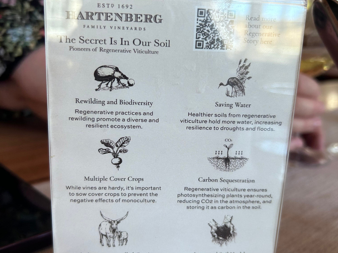 Hartenberg Wine Estate-斯泰伦博斯必去景点