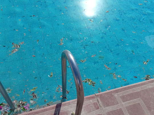 ZYA Palmera Beach Resort主图