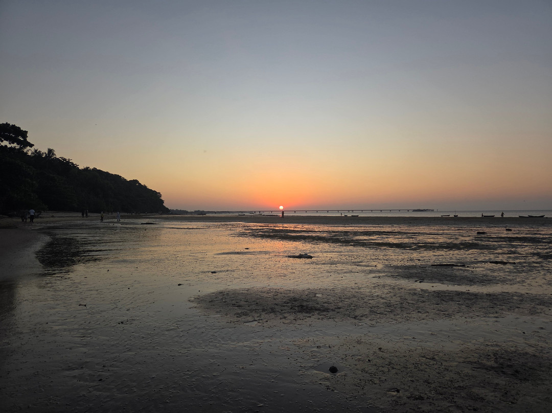 Kitu Kiblu: Responsible Marine Encounters-马菲亚岛必去景点
