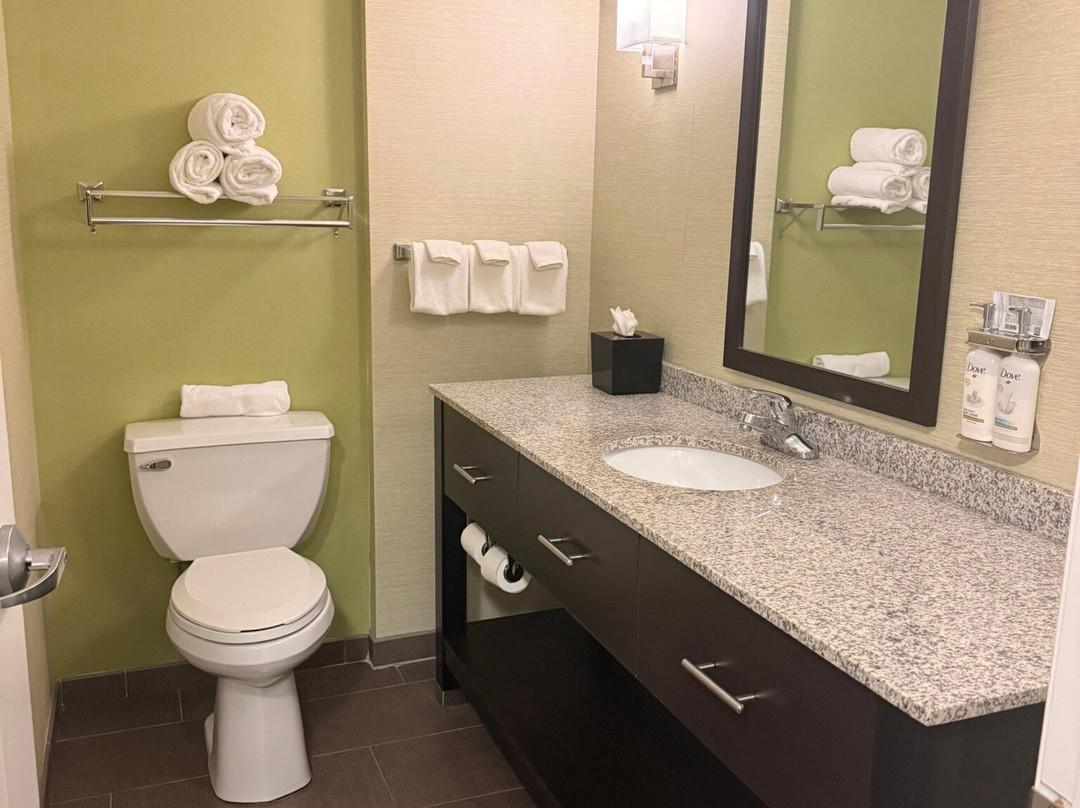 Holiday Inn Express & Suites Rogers By IHG主图