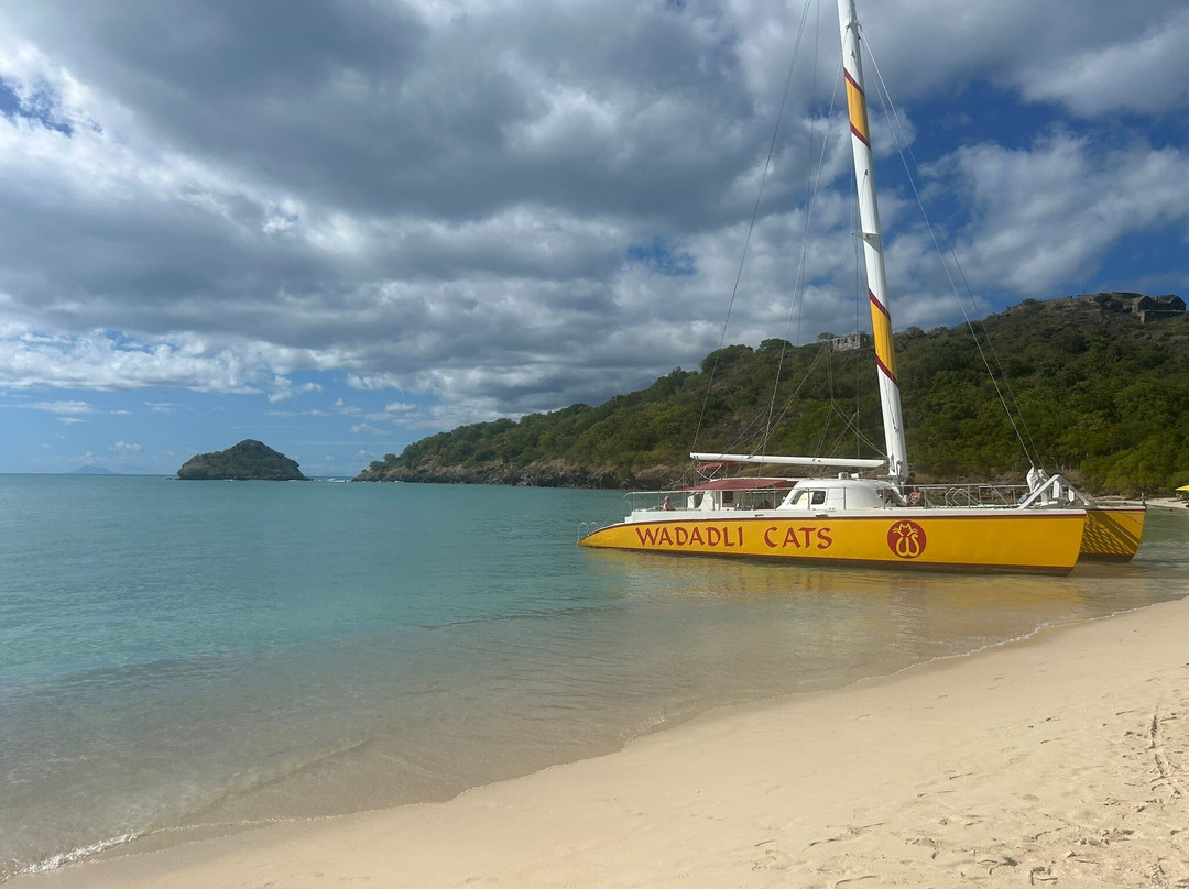 Tropical Adventures - Excellence Catamaran-圣 约翰必去景点