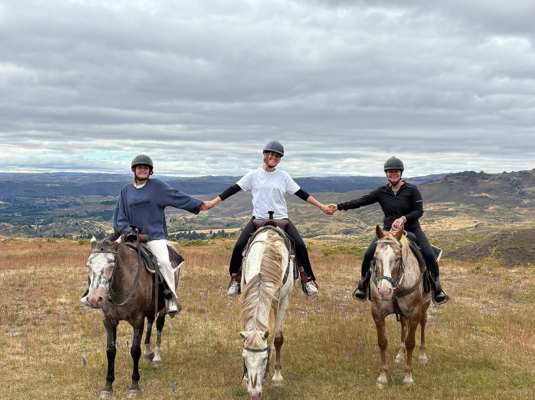 Back Country Saddles-卡德罗纳必去景点