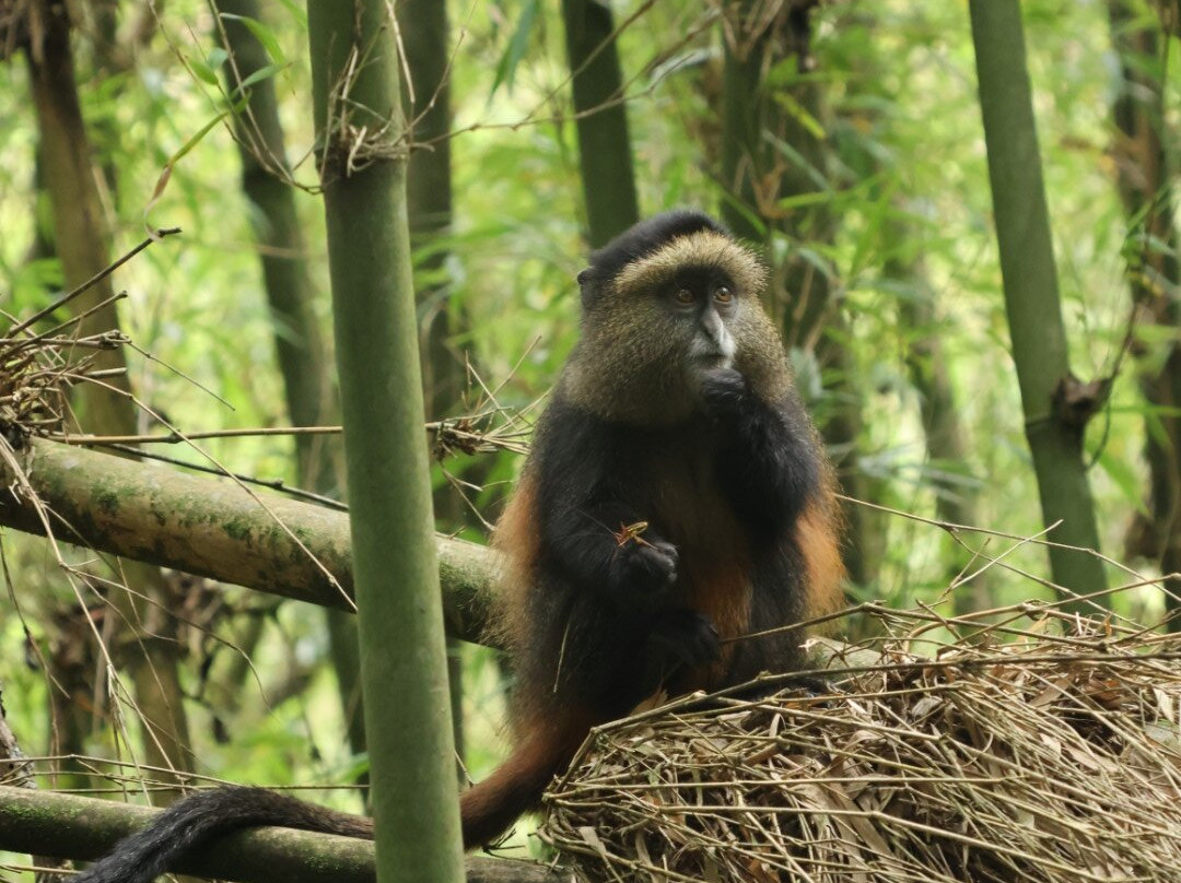 Eco Adventure Safaris-恩德培必去景点