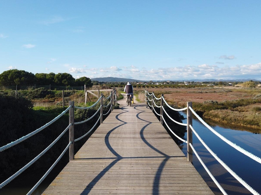 Algarve Cycling-法罗必去景点