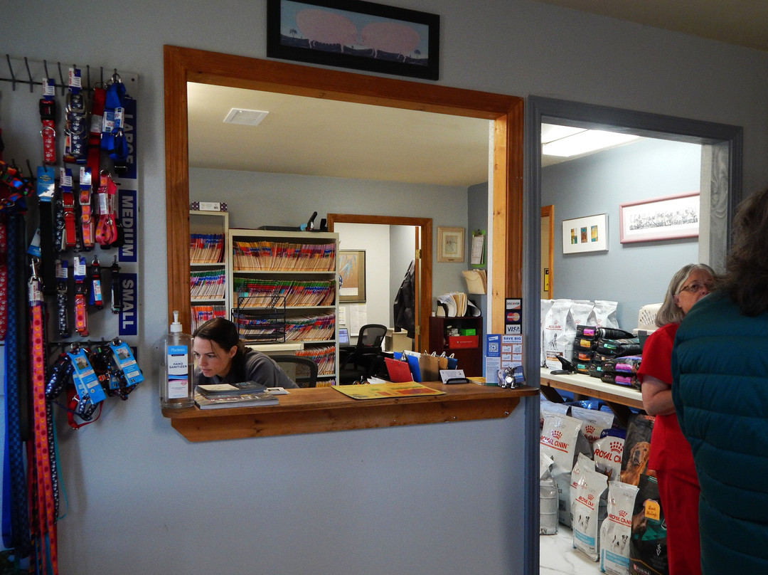 Angel Fire Small Animal Hospital