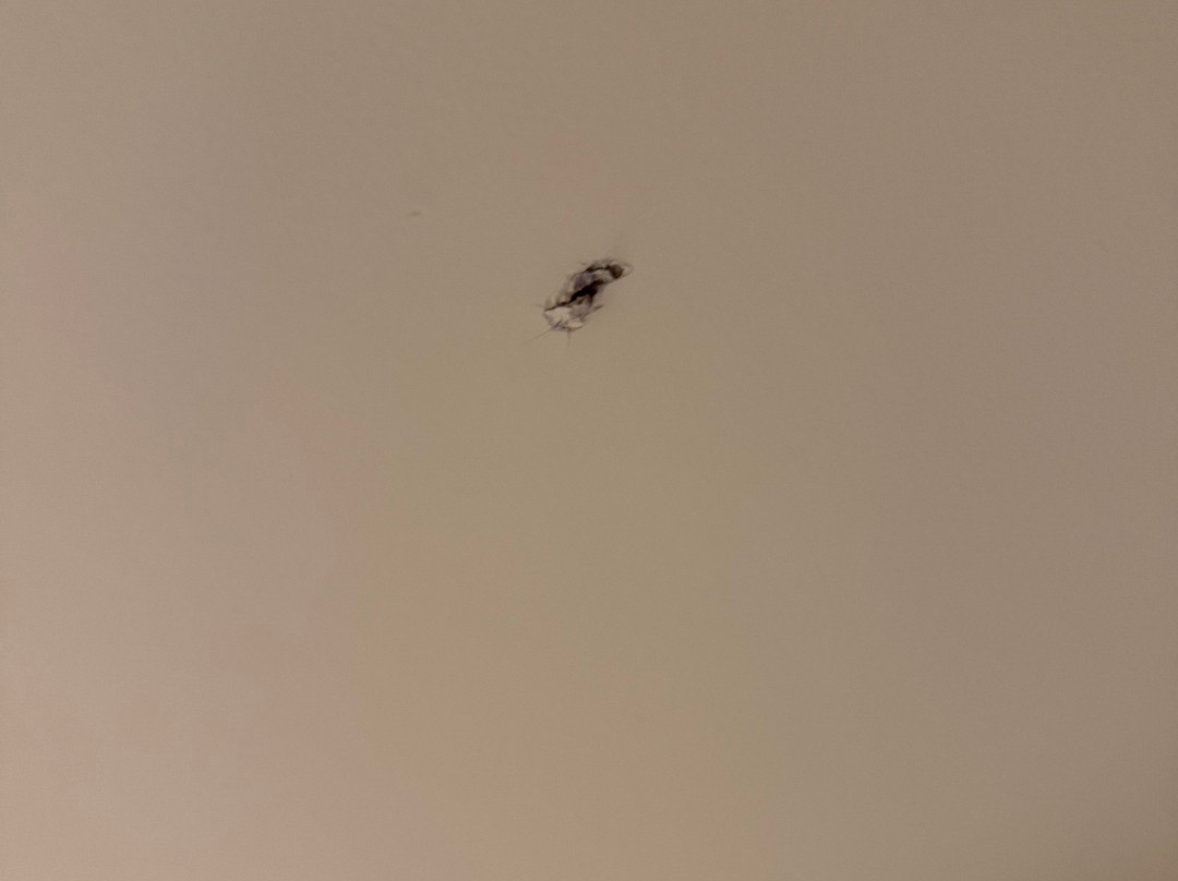 Residence Inn by Marriott Portsmouth Downtown/Waterfront主图