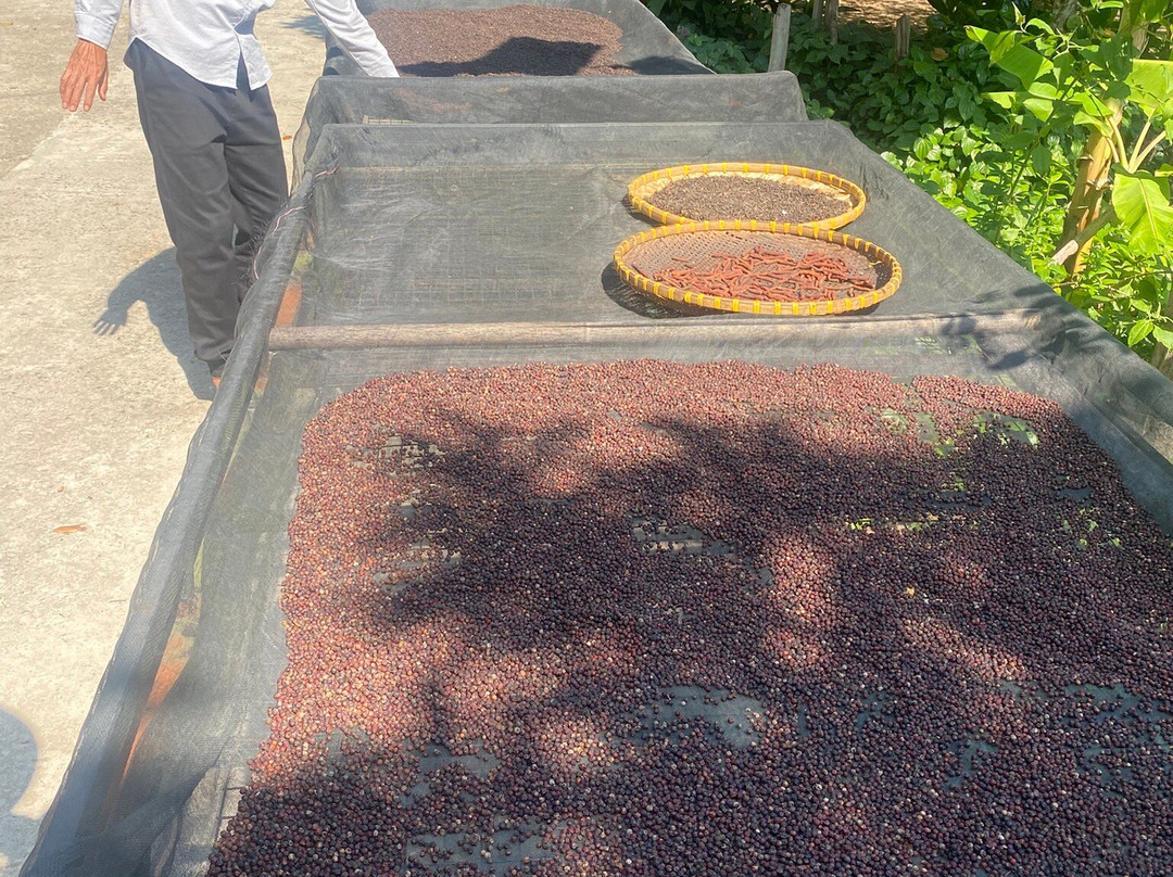 Phu Quoc Countryside-富国岛必去景点