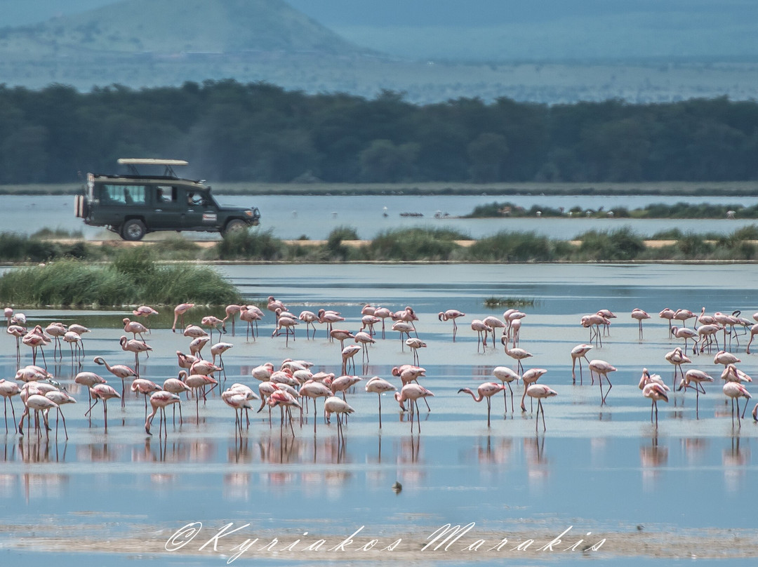 Africa Vision Safaris Tours and Travel-内罗毕必去景点