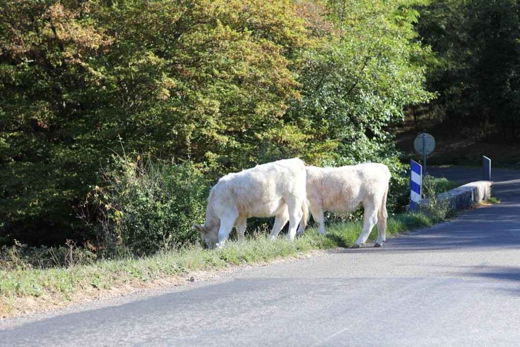 Mairie de Bissey-sous-Cruchaud-Bissey-sous-Cruchaud必去景点