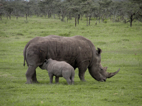 Gilmag Safaris-阿鲁沙必去景点