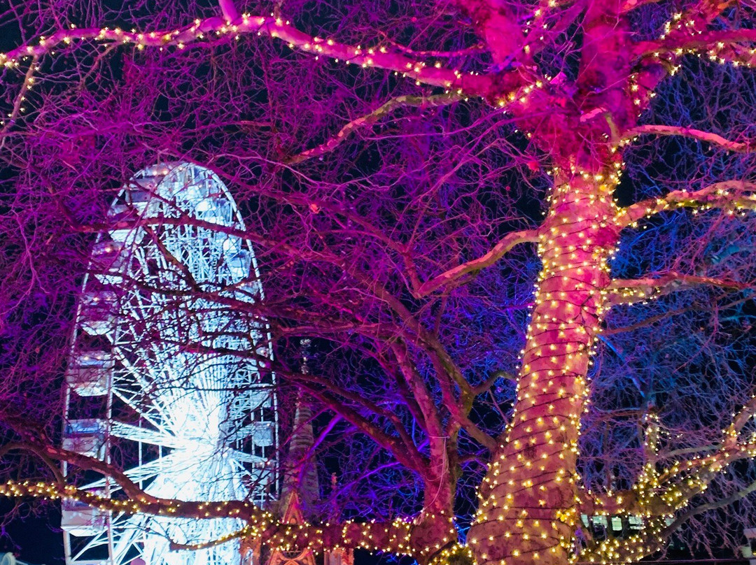 艾伯特广场-曼彻斯特必去景点