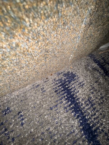 La Quinta Inn & Suites by Wyndham Bridgeport主图