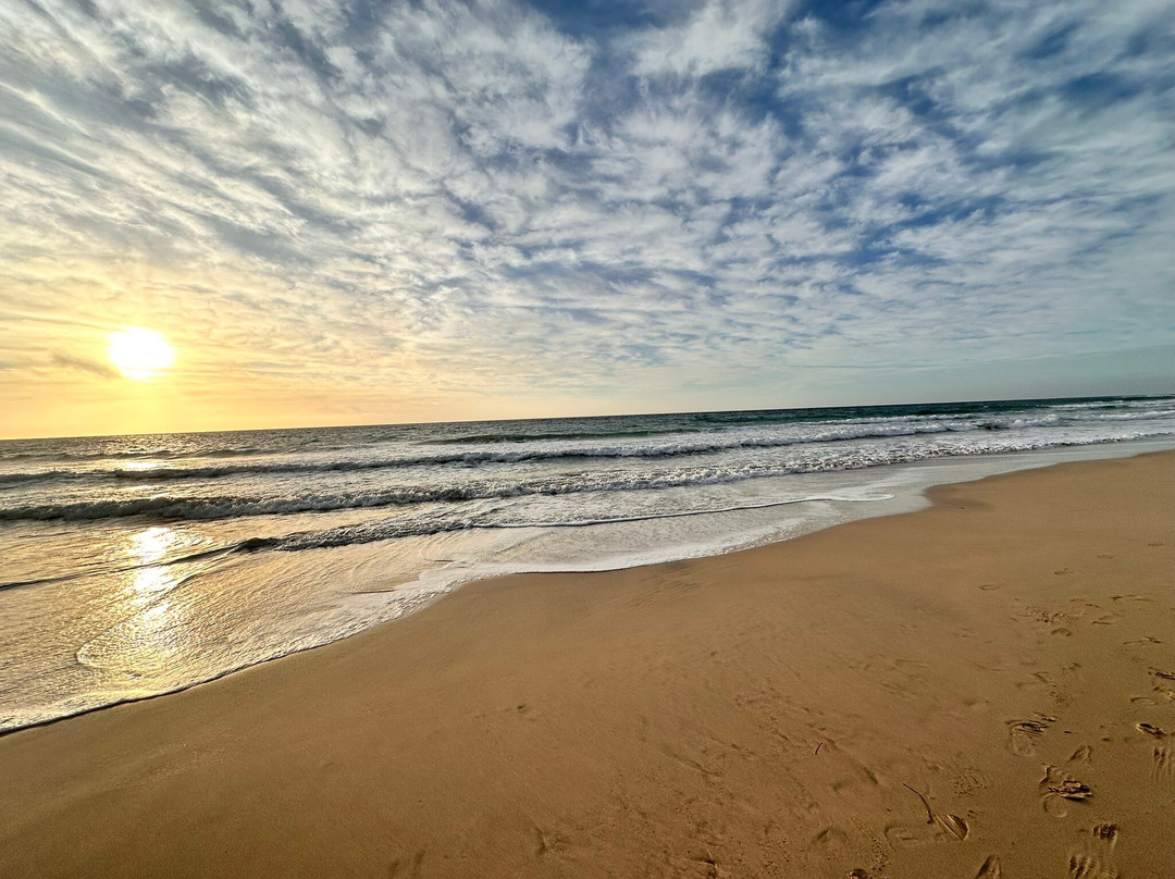 Playa de Sotavento-Costa Calma必去景点
