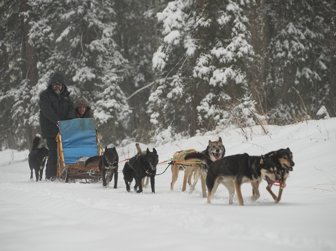 Durango Dog Ranch-杜兰戈必去景点
